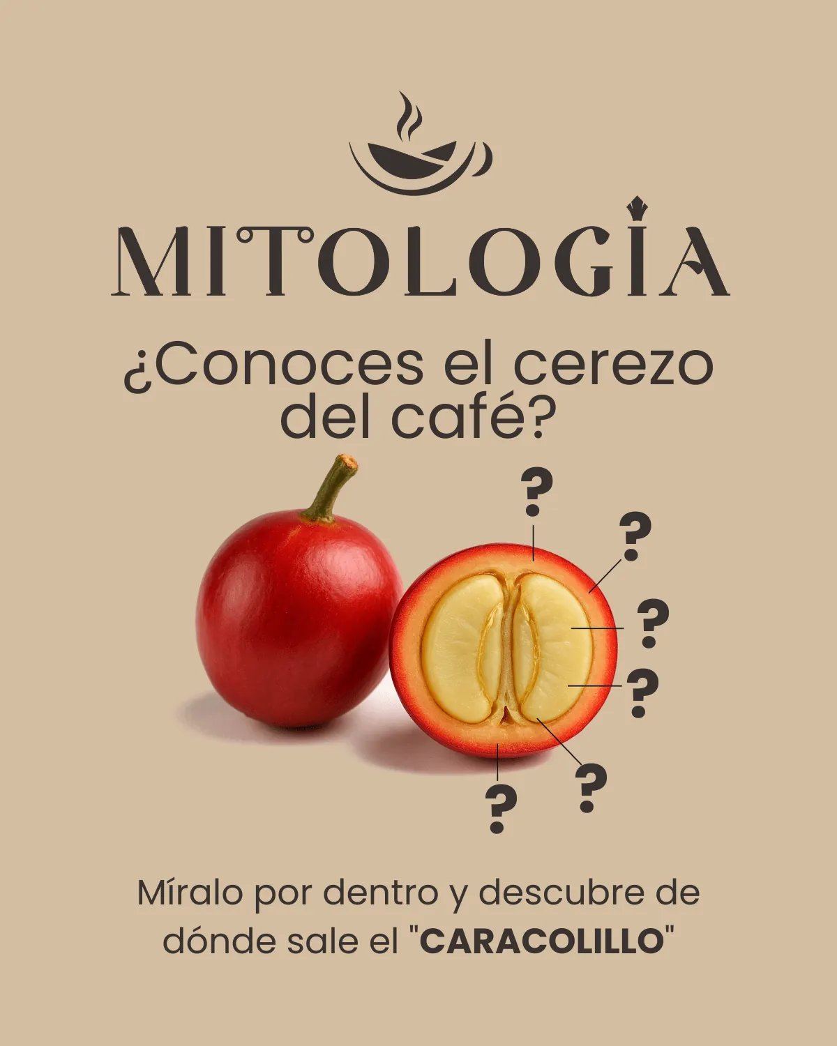 El cerezo del café