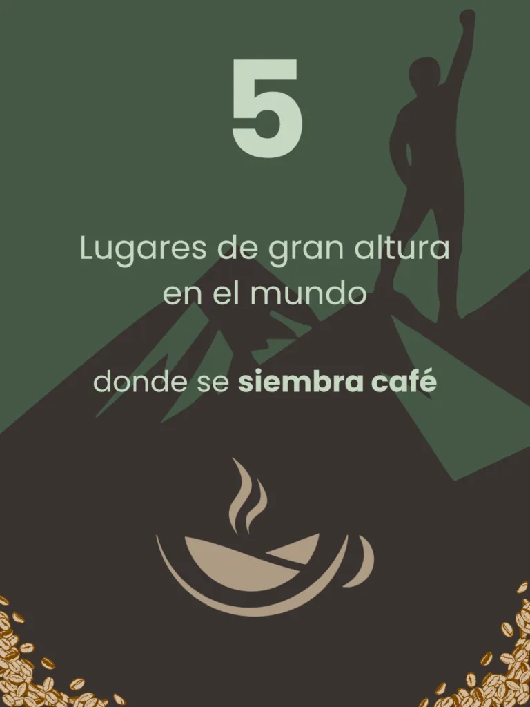 Café de altura