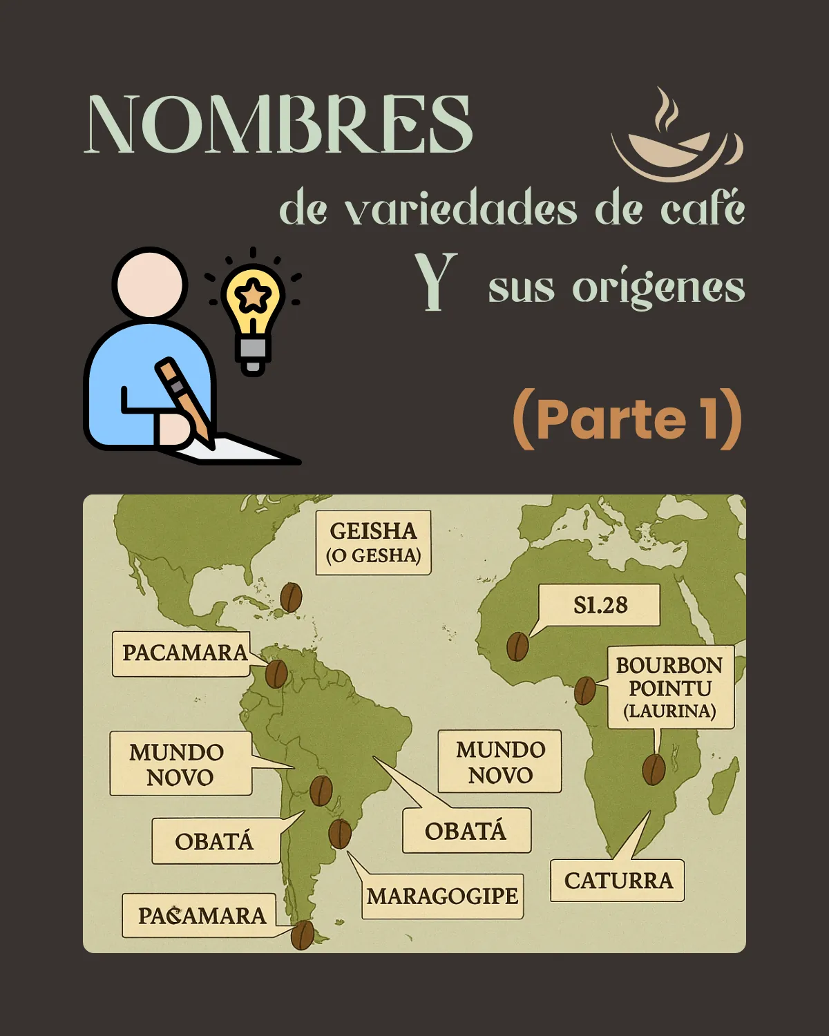 Nombres de granos de café - Parte 1