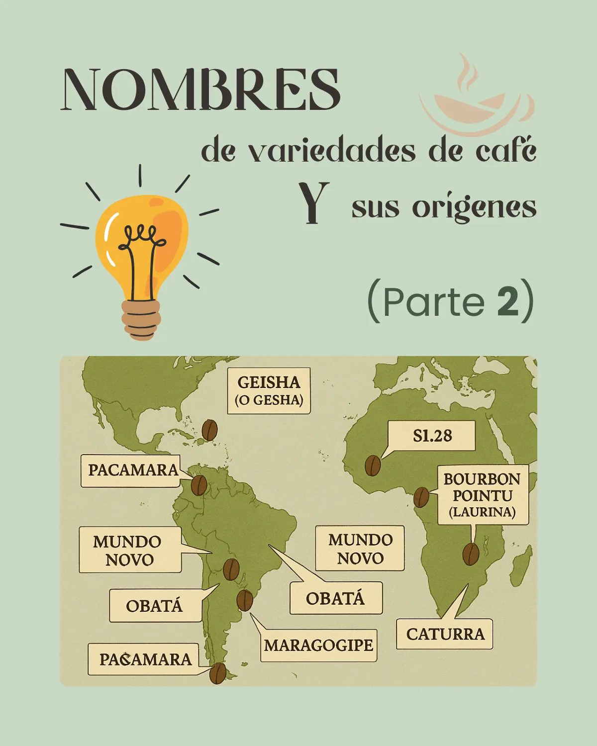 Nombres de granos de café - Parte 2