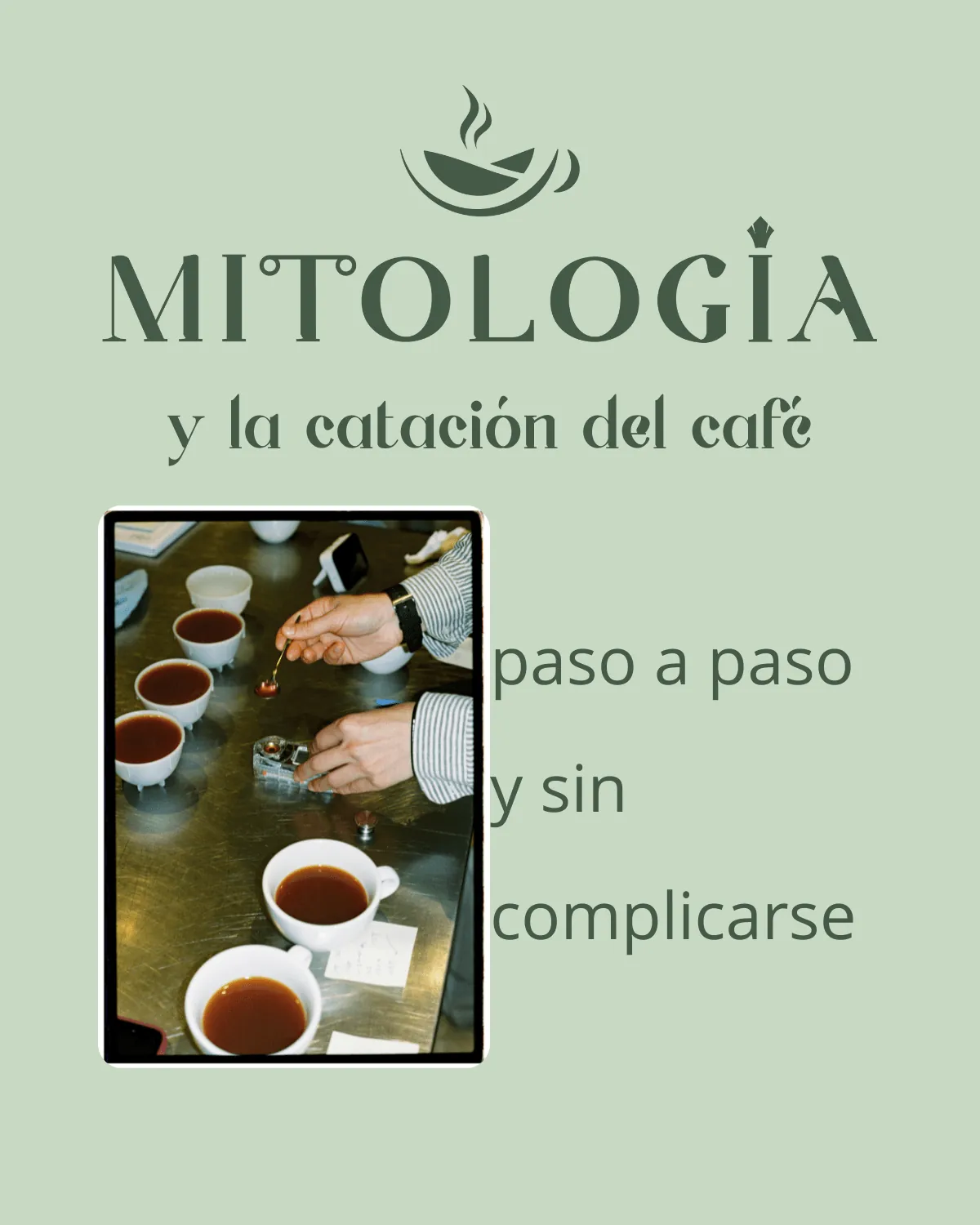 Catación del café