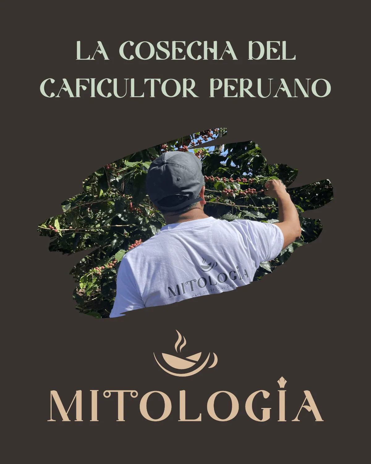 Caficultor Peruano