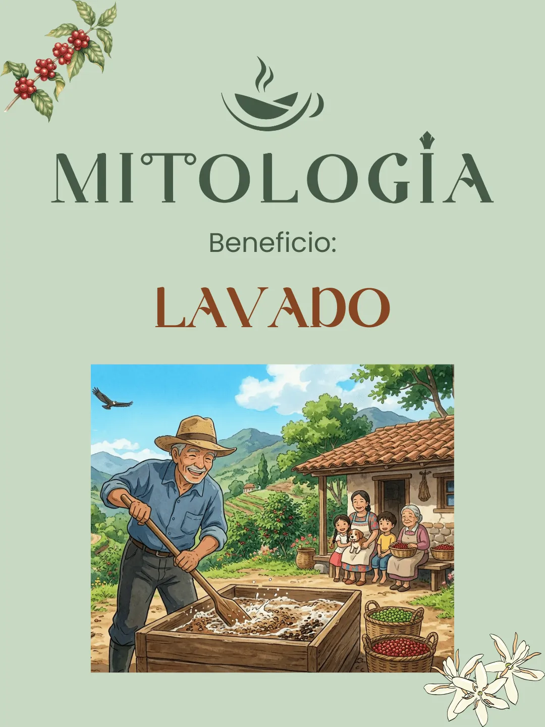 Beneficio Lavado