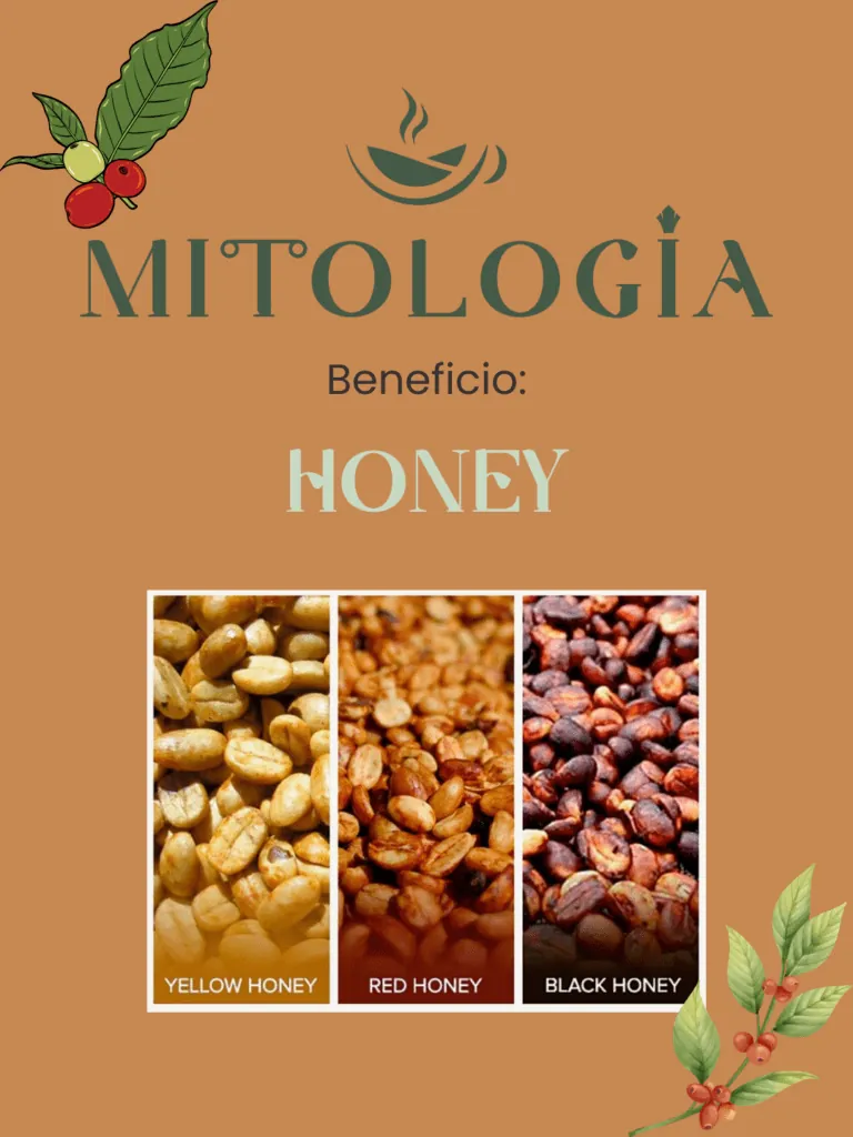 Beneficio Honey
